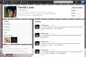 Twitter Screen mini